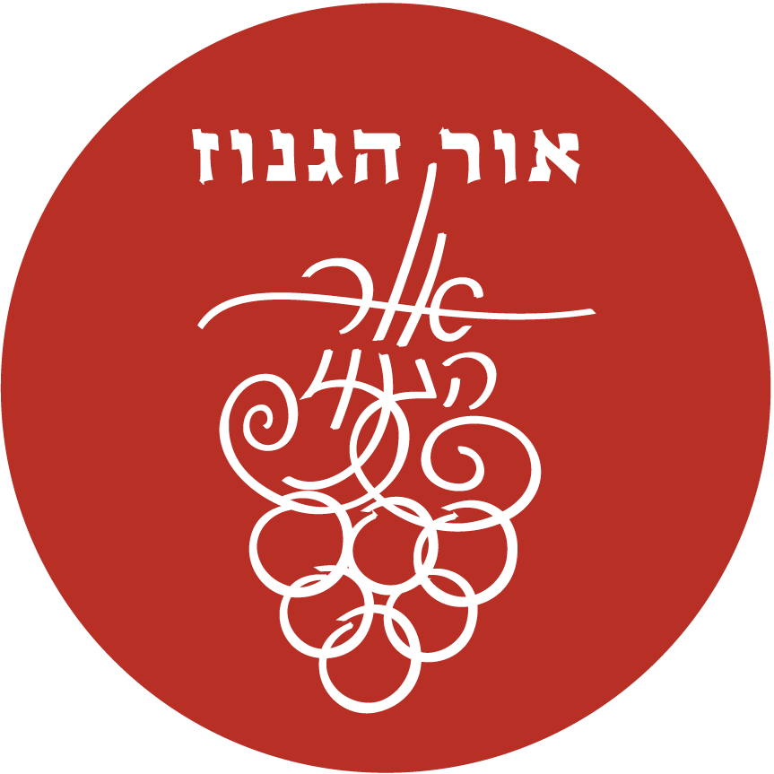 פאביקון